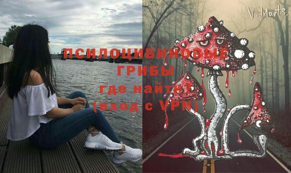 дурь Касимов