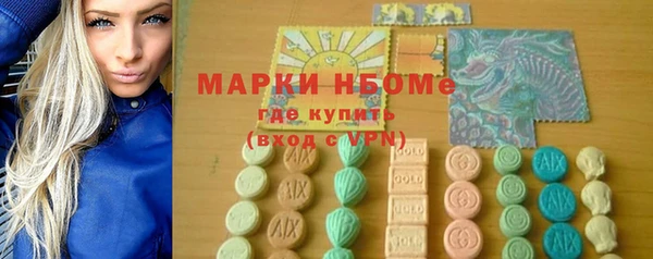 хмурый Заполярный